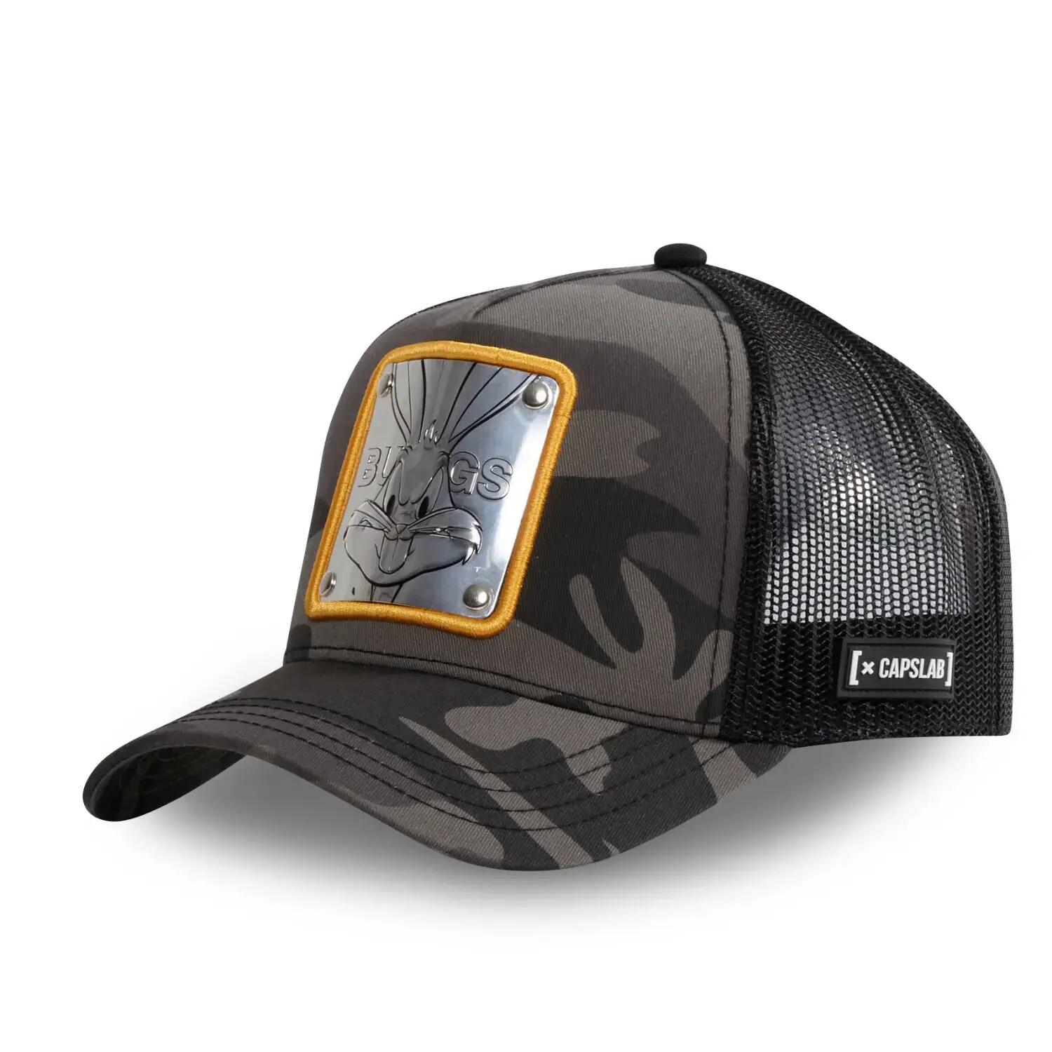 CAPSLAB picture