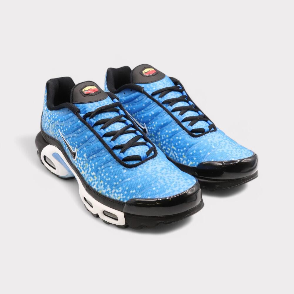 Nike Air Max Plus Naples 2/4