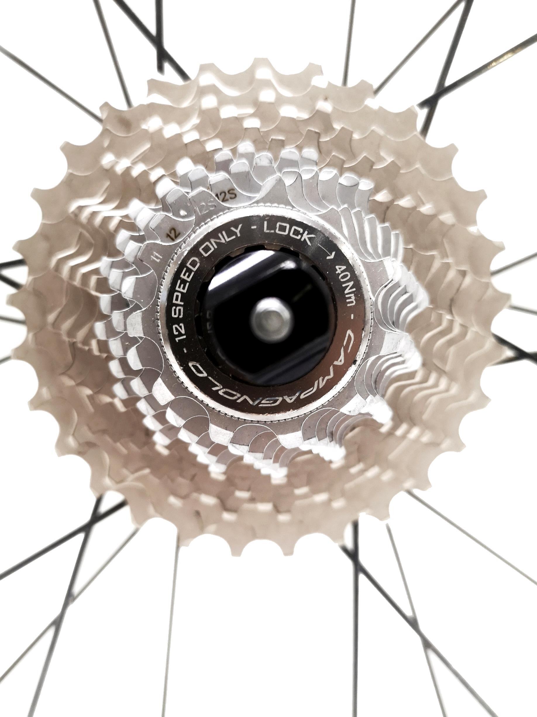 Rueda DT Swiss Carbono 3/5