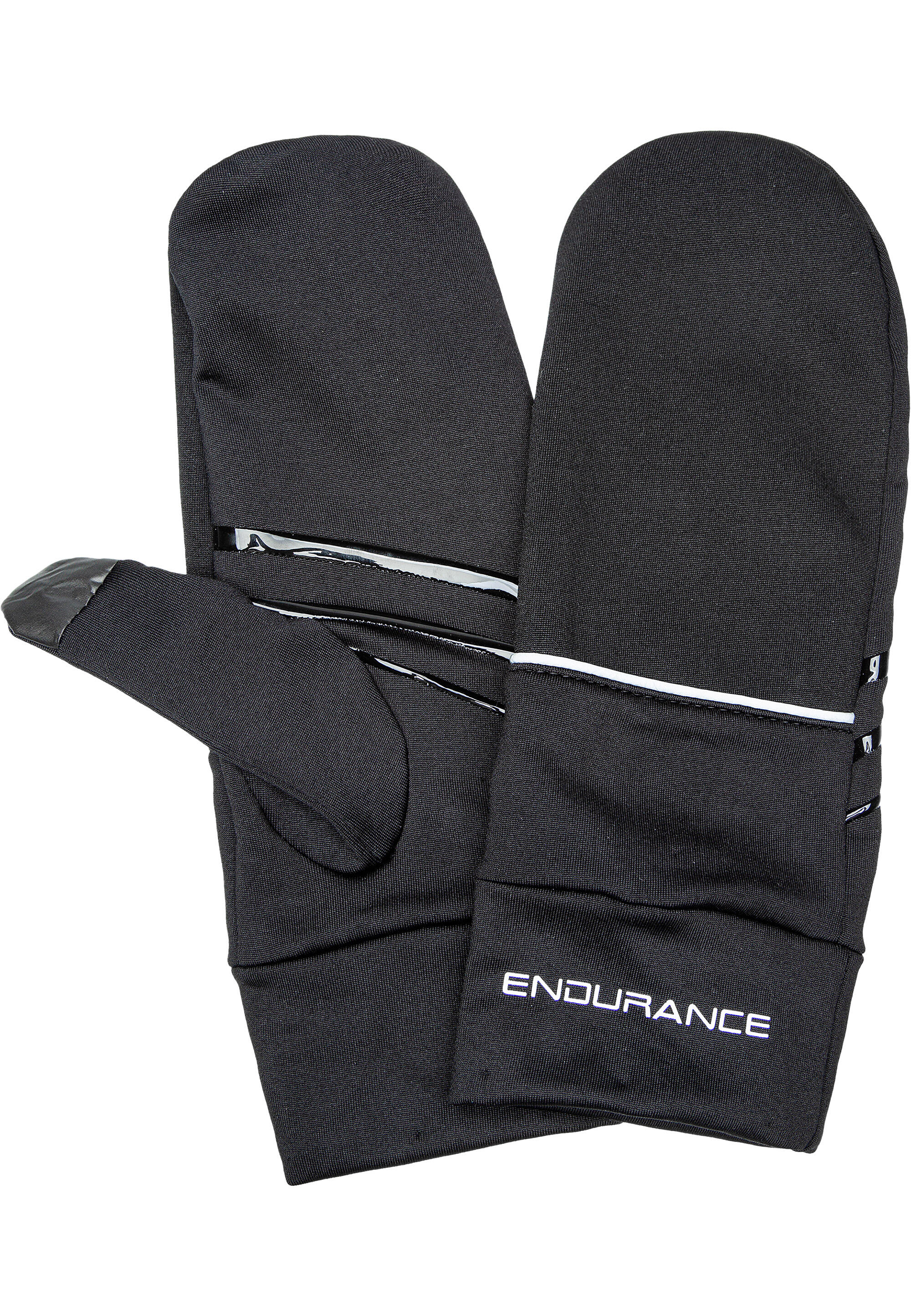 ENDURANCE picture