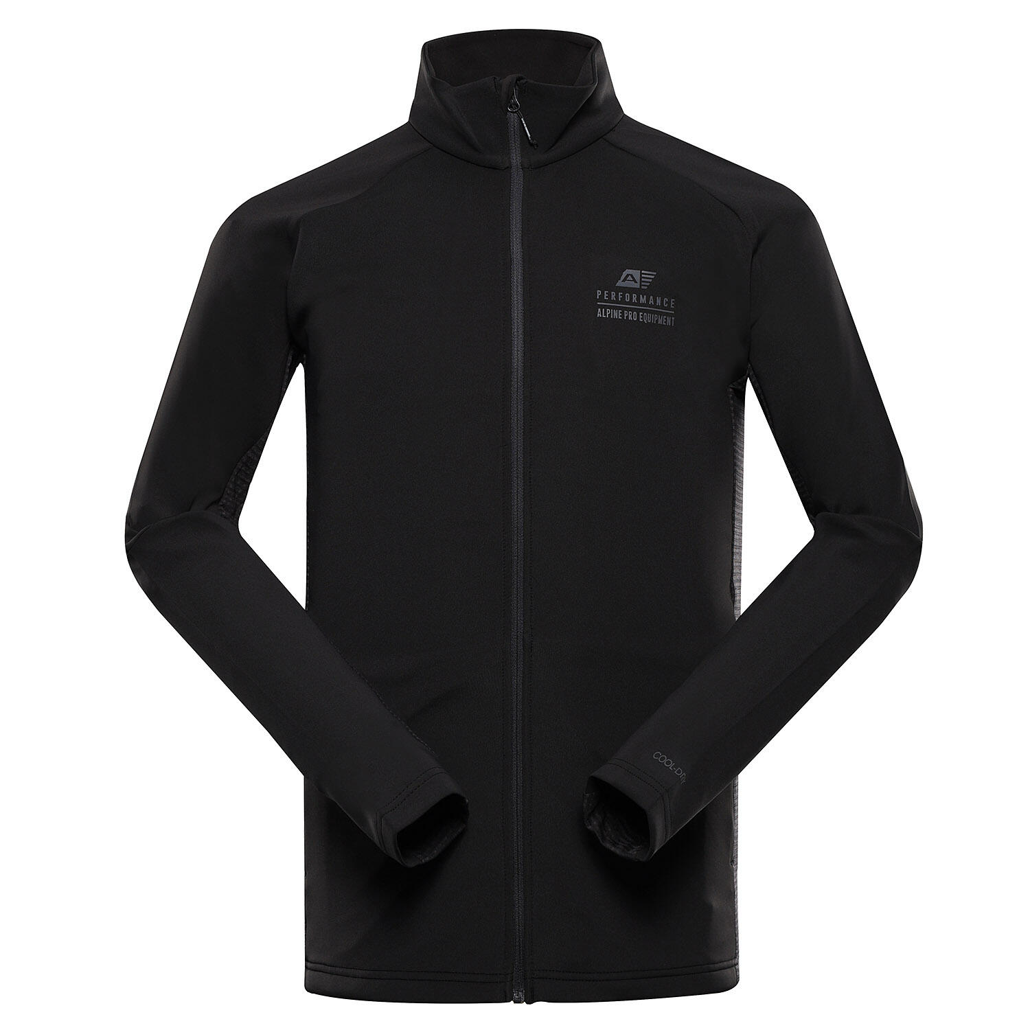 ALPINE PRO picture