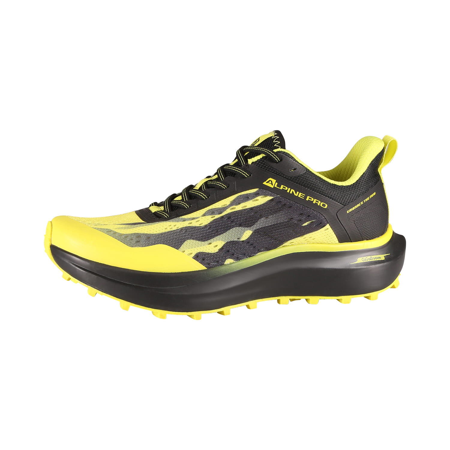 ALPINE PRO picture
