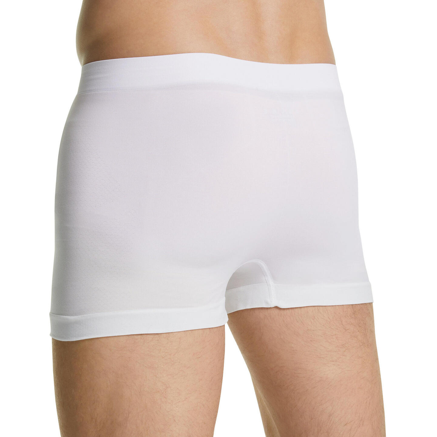 Boxer Falke Ultralight Cool 5/5