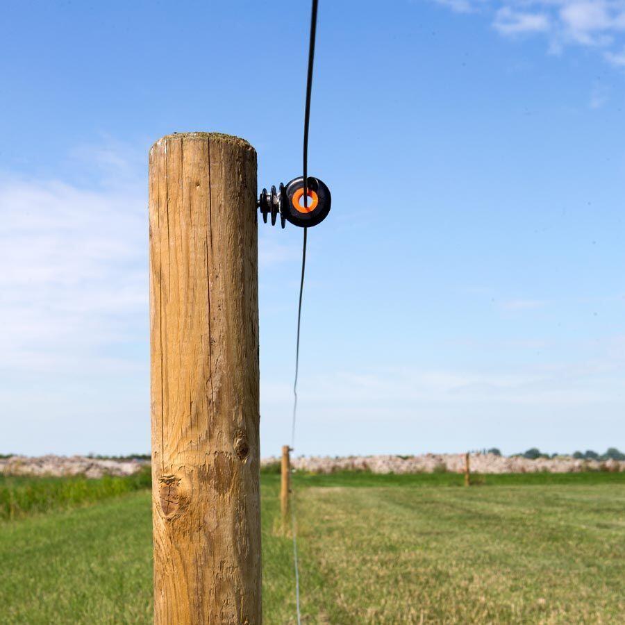 Isolatori per recinzioni elettriche a vite xdi Gallagher (x75) 5/5