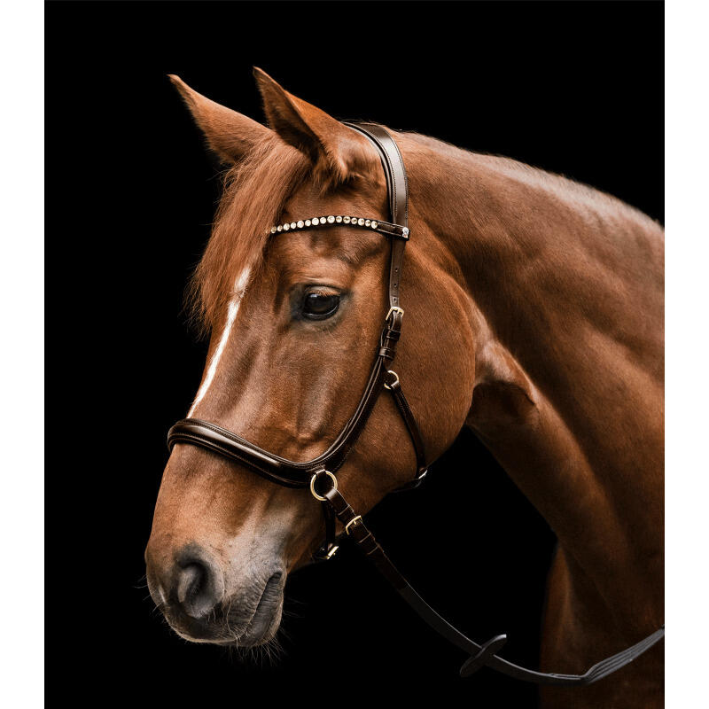 Bridon sans mors pour cheval Waldhausen X-Line