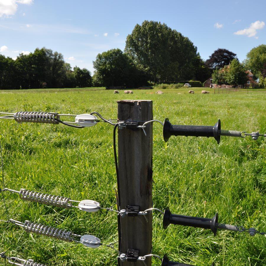 Isolatori per recinzioni elettriche di ancoraggio a 2 vie Gallagher (x4) 5/5