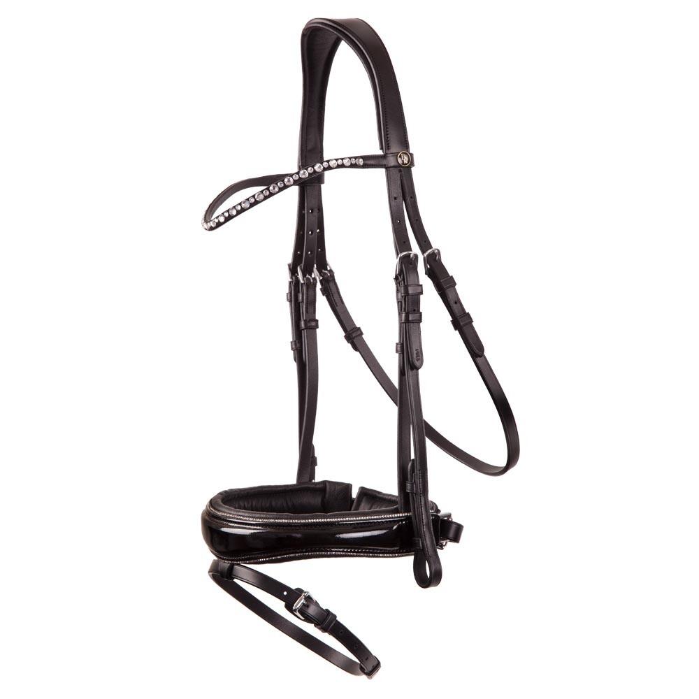 BR Anatomische hoofdstellen BR Equitation Bristol