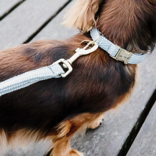 Hundehalsband Kentucky Wool 3/4