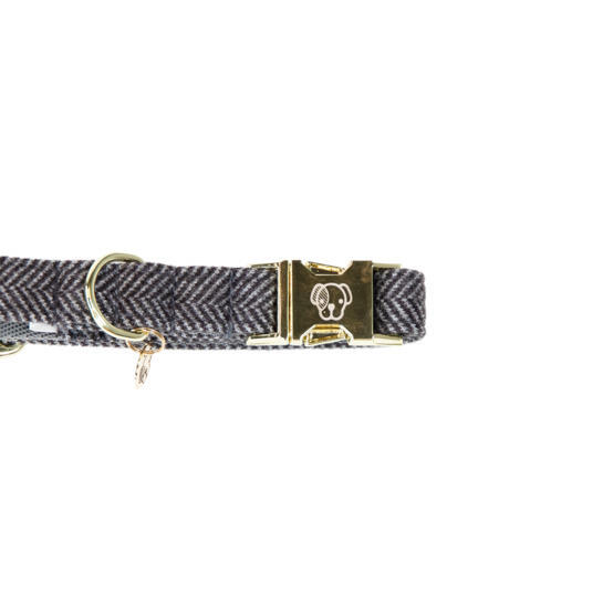 Collare per cani Kentucky Wool 2/3