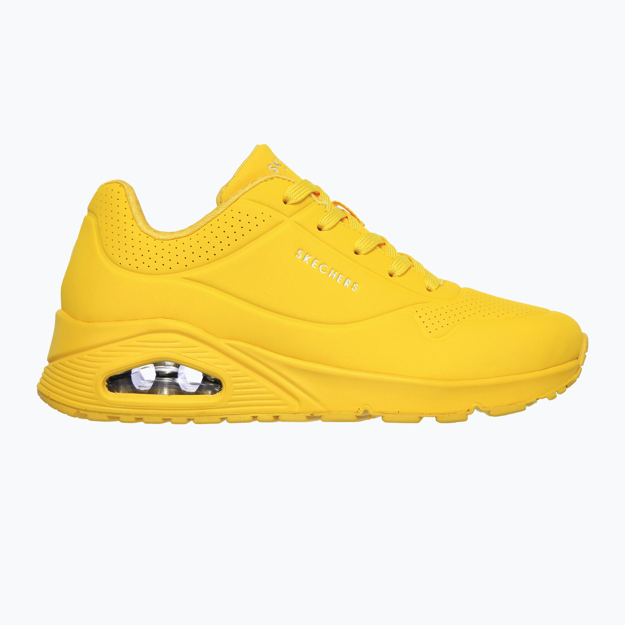 SKECHERS picture