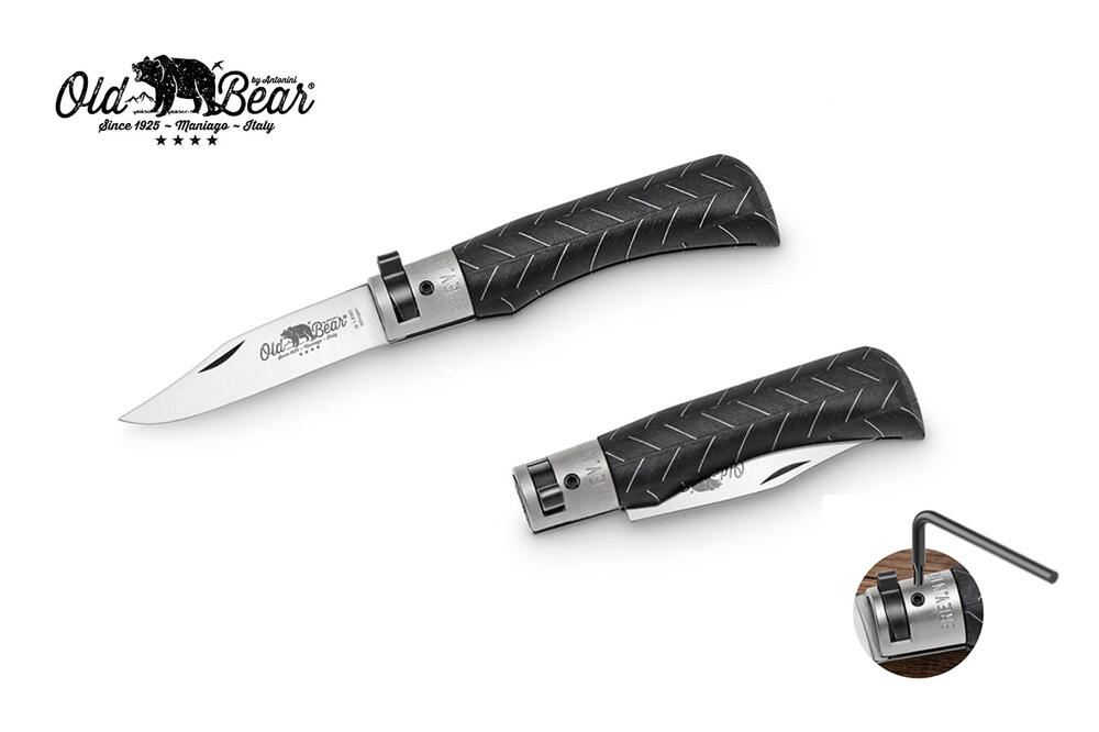 OLD BEAR picture
