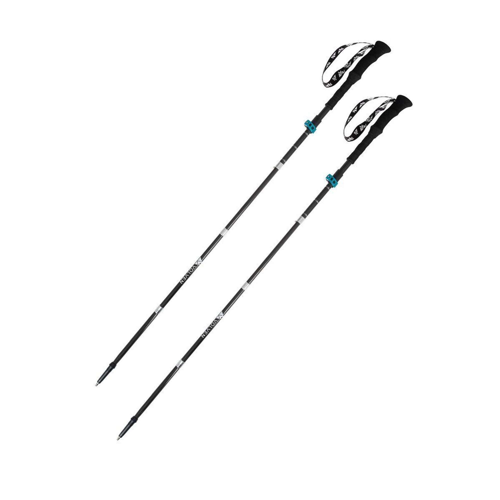 Bețe de trekking Expert Carbon