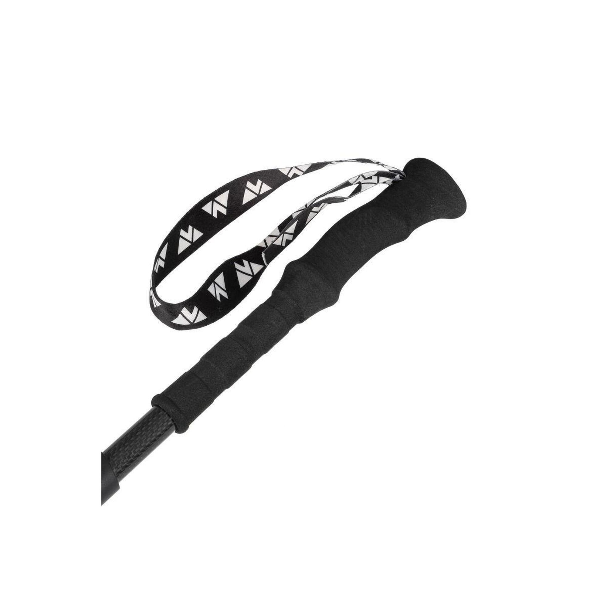 Bețe de trekking Expert Carbon