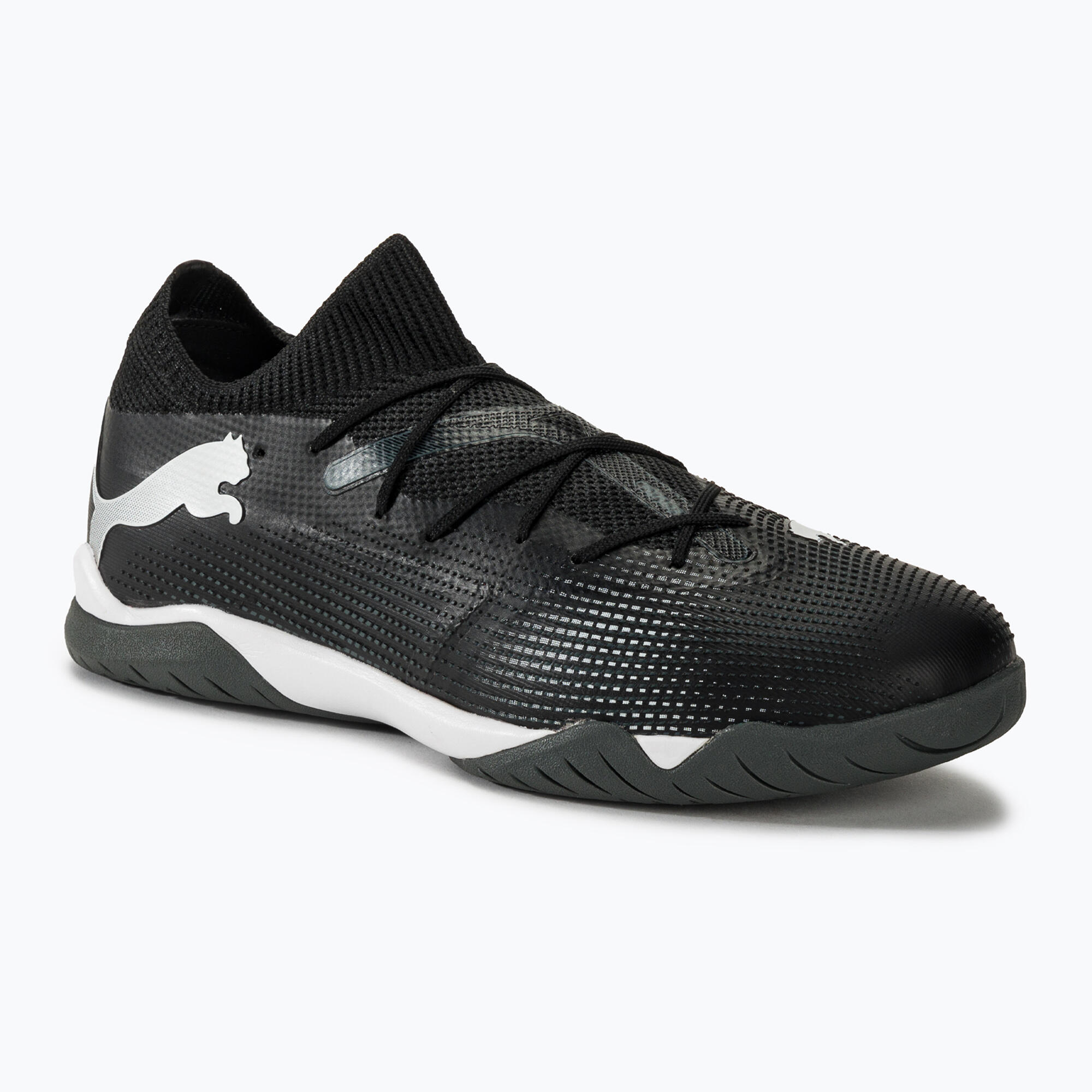 PUMA picture