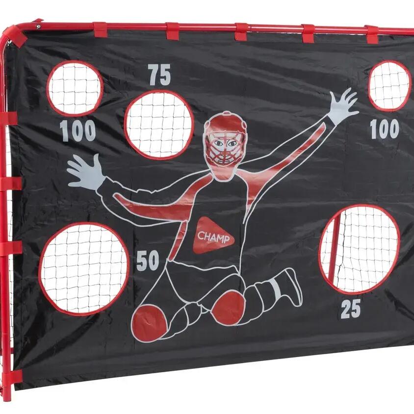 Floorball goal Unihockey with goal wall
