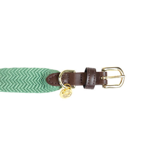 Collier pour chien Kentucky Jacquard 2/3