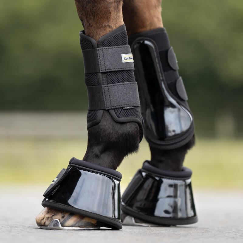 Cloches para caballo de malla Kavalkade Anatomic Star 2/6