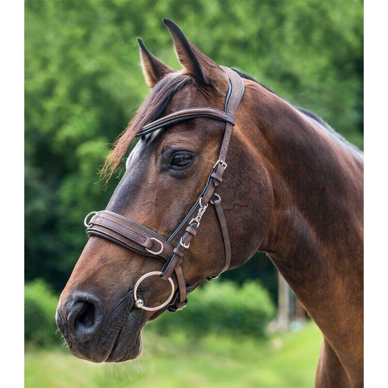 Cavezzone per cavallo in cuoio anatomico Waldhausen 2/2