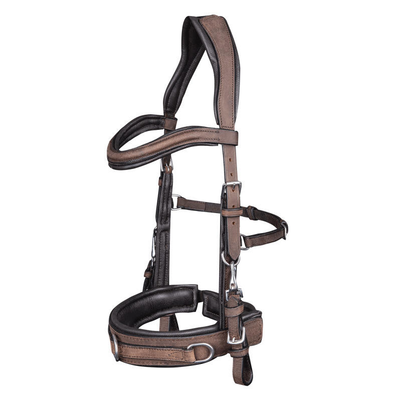 Anatomic leather hackamore for horse Waldhausen