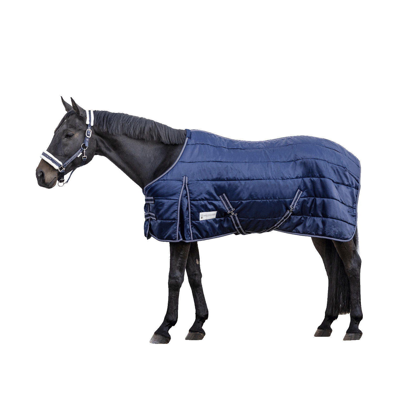 Coperta da box per cavalli Waldhausen Economic 100 g 1/3