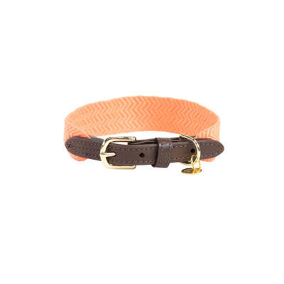 Hundehalsband Kentucky Jacquard