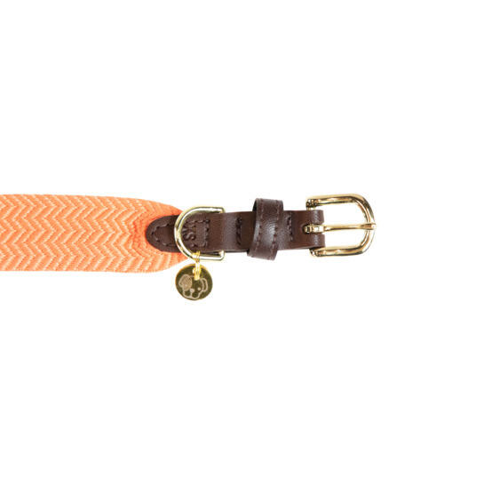 Hundehalsband Kentucky Jacquard 3/3