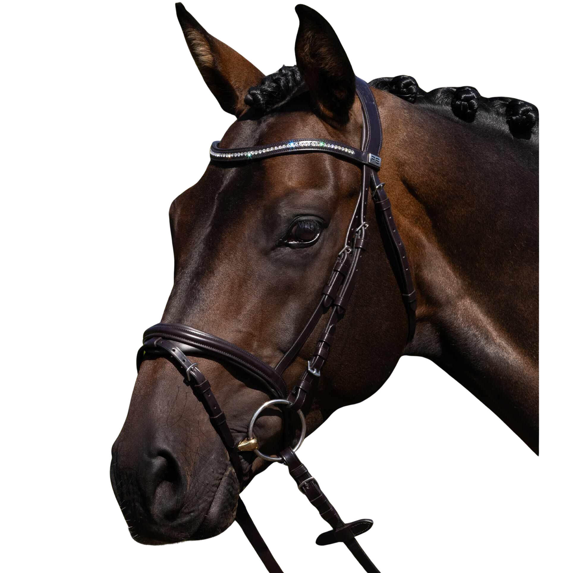 PREMIER EQUINE Riem voor paardrijden Premier Equine Rivere
