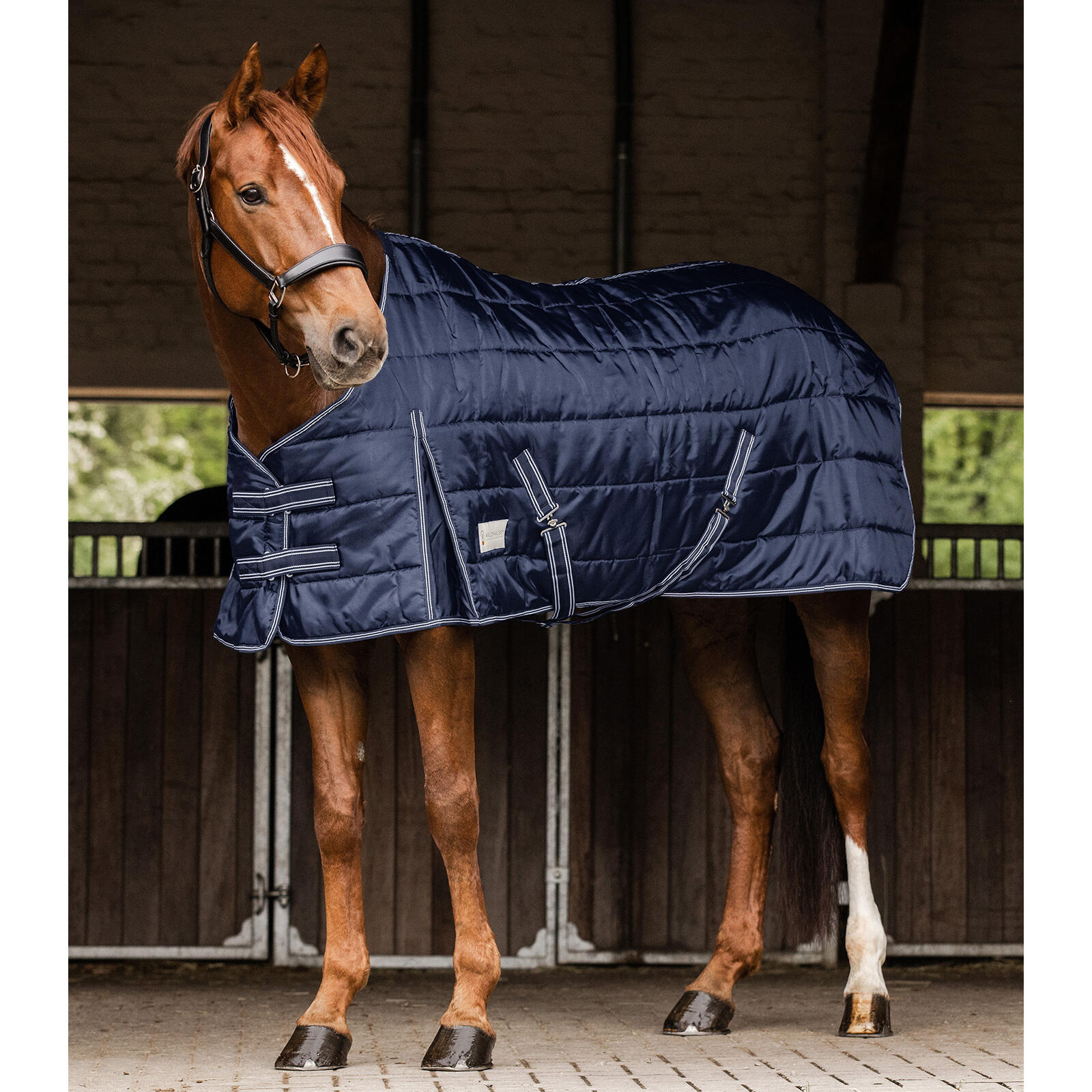 Coperta da box per cavalli Waldhausen Economic 100 g 2/3