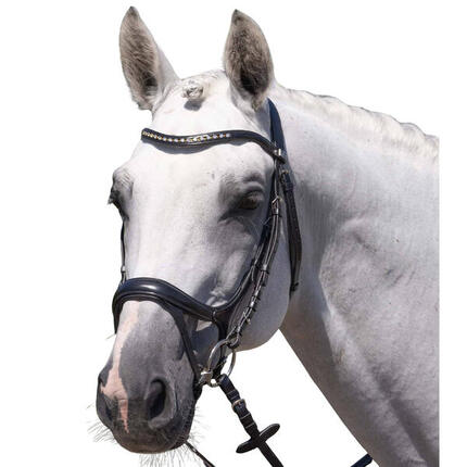 Bride équitation Premier Equine Palazzo