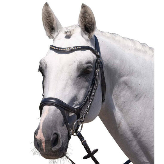 Bride équitation Premier Equine Palazzo