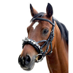 Caveçon pour cheval en cuir Waldhausen