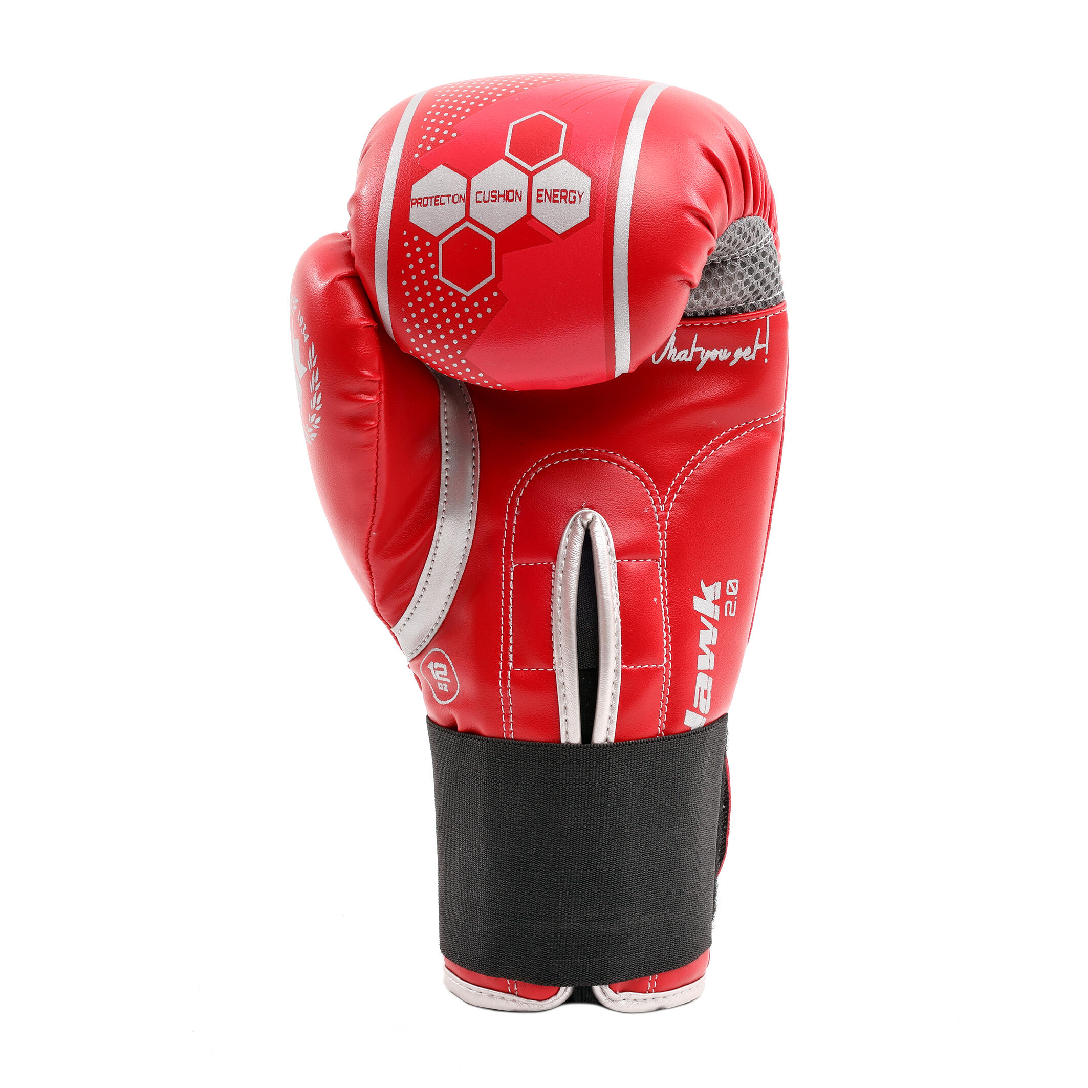 Gants de boxe Montana Hawk 4/6