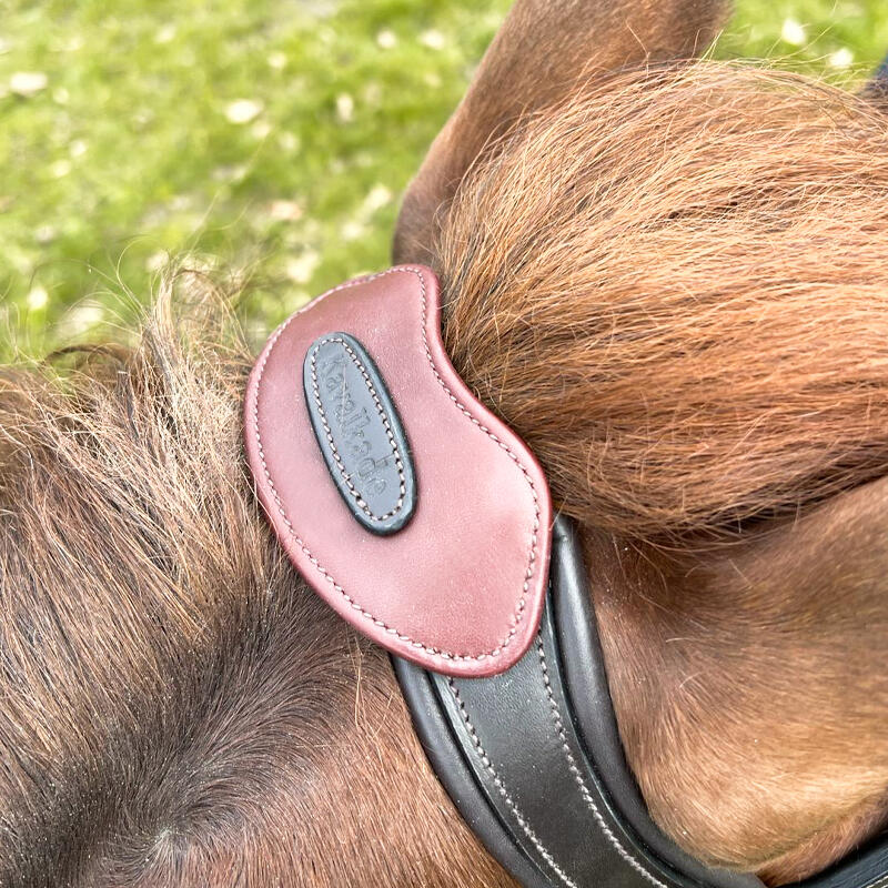 Cabestro para caballo abierto con puente Kavalkade Cre8 Malou 6/7