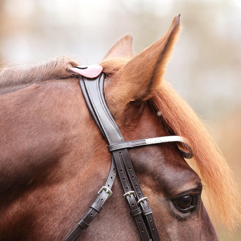 Cabestro para caballo abierto con puente Kavalkade Cre8 Malou 7/7