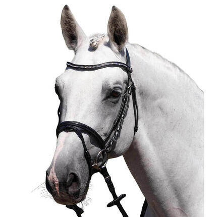 Bridon équitation Premier Equine Rivere
