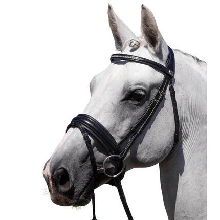 Bride équitation anatomique Premier Equine Castello