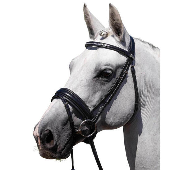 Bride équitation anatomique Premier Equine Castello