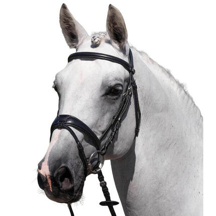 Bridon équitation Premier Equine Artana