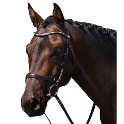 Bride équitation Premier Equine San Paolo