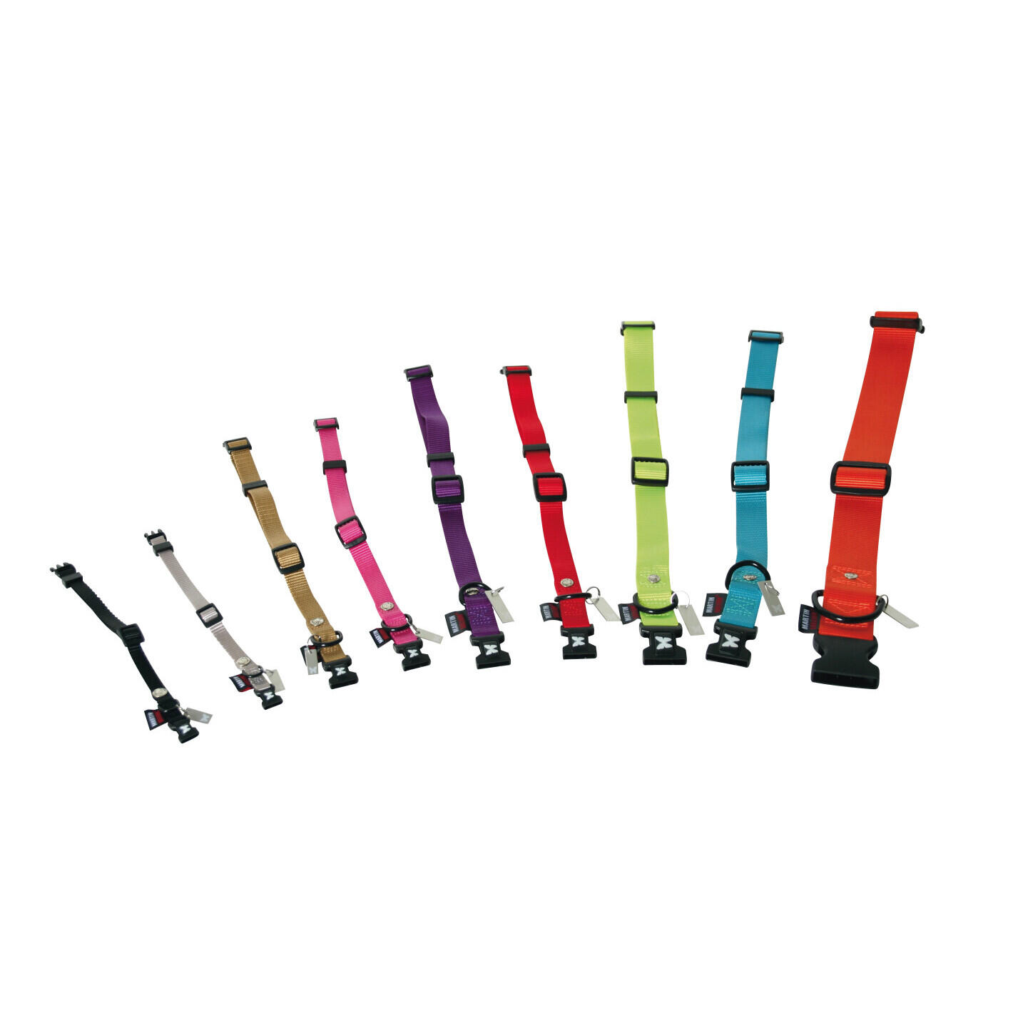 Collier réglable nylon pour chien Martin Sellier 2/3