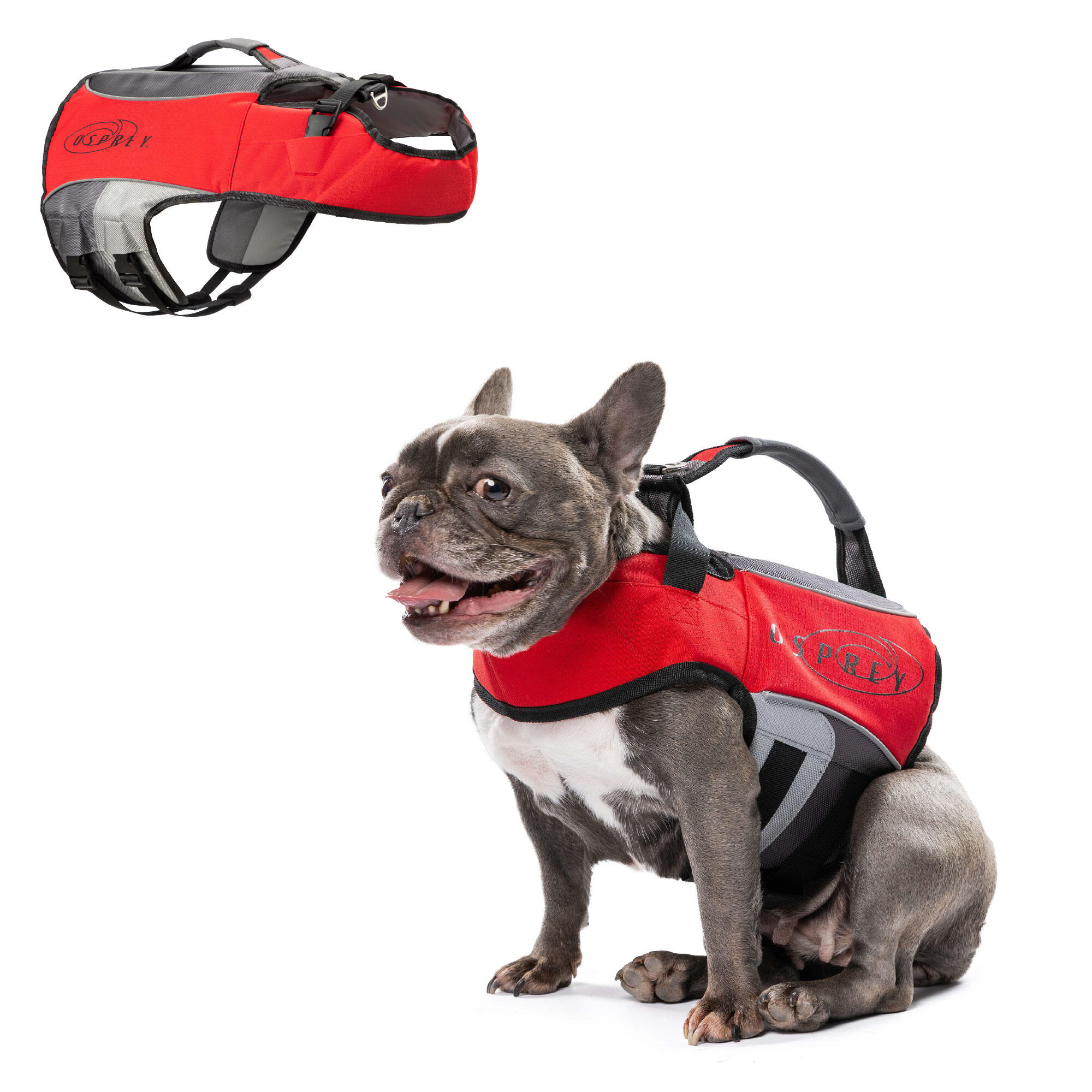 Osprey Dog Life Jacket, Adjustable Buoyancy Aid with Handle