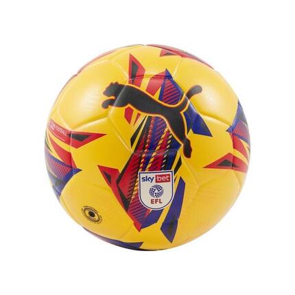 Ballon Puma Orbita 3 Sky Bet EFL 24/25