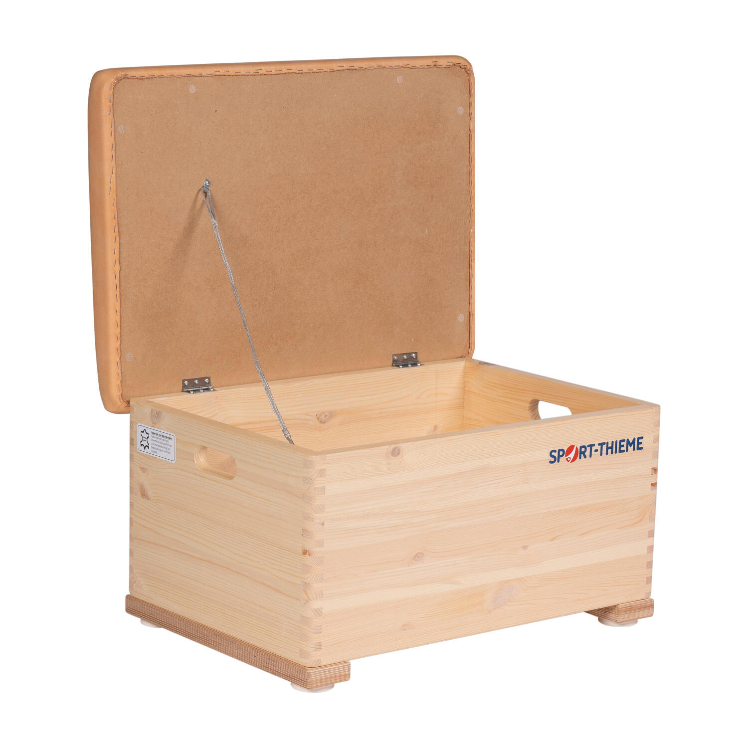 SPORT-THIEME picture