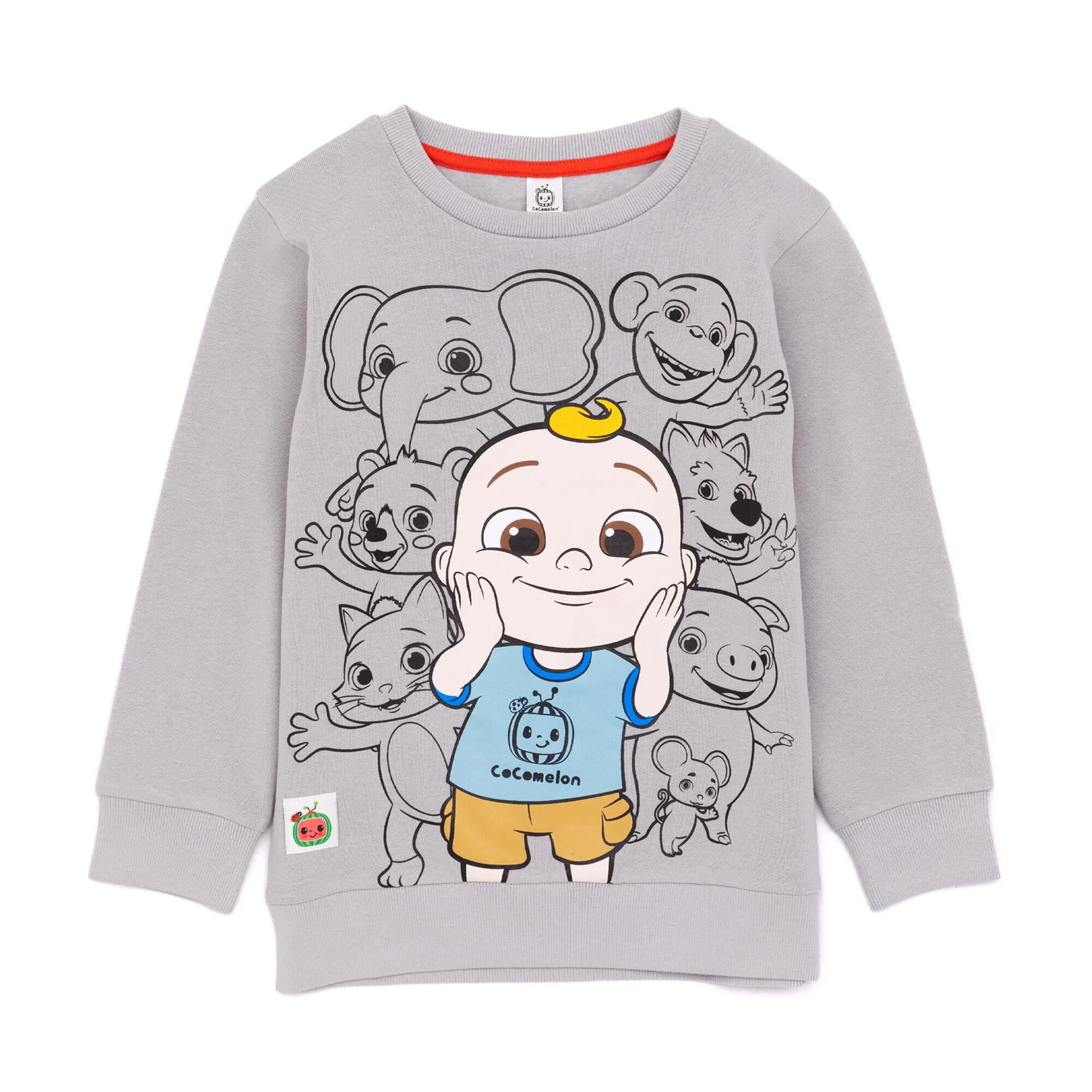 Cocomelon Childrens/Kids Group Shot Sweatshirt