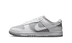Dunk Low Retro White Grey