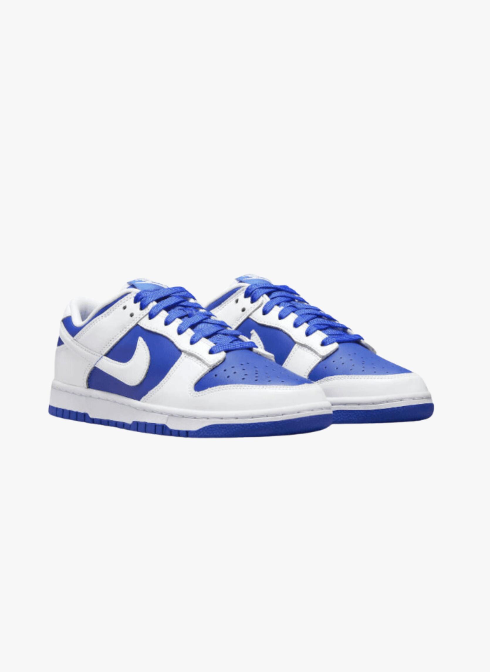 Nike Dunk Low Reverse Kentucky 4/5