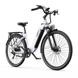 Vélo électrique pour adultes Onesport OT05Pro 250 W, batterie 36 V 22,5 Ah