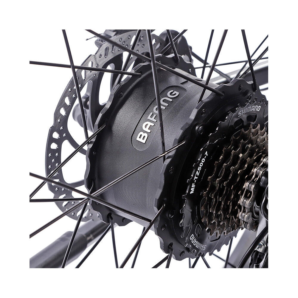 Vélo électrique adulte JOBOBIKE Robin ST 26 pouces 250 W 48 V 13 Ah 4/7