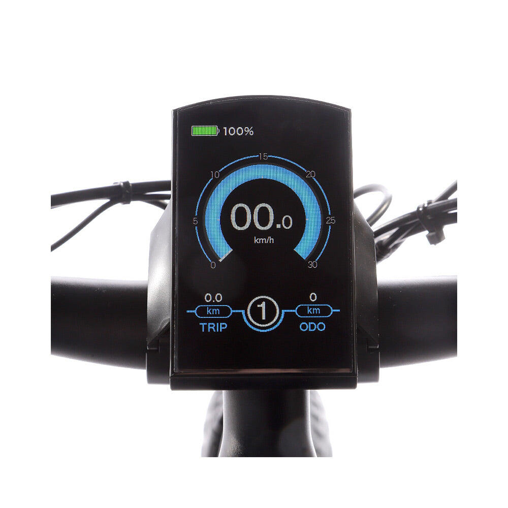 Vélo électrique adulte JOBOBIKE Robin ST 26 pouces 250 W 48 V 13 Ah 2/7