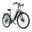 Bicicletă electrică ONESPORT OT05 Pro 250W 36V 22.5Ah Baterie